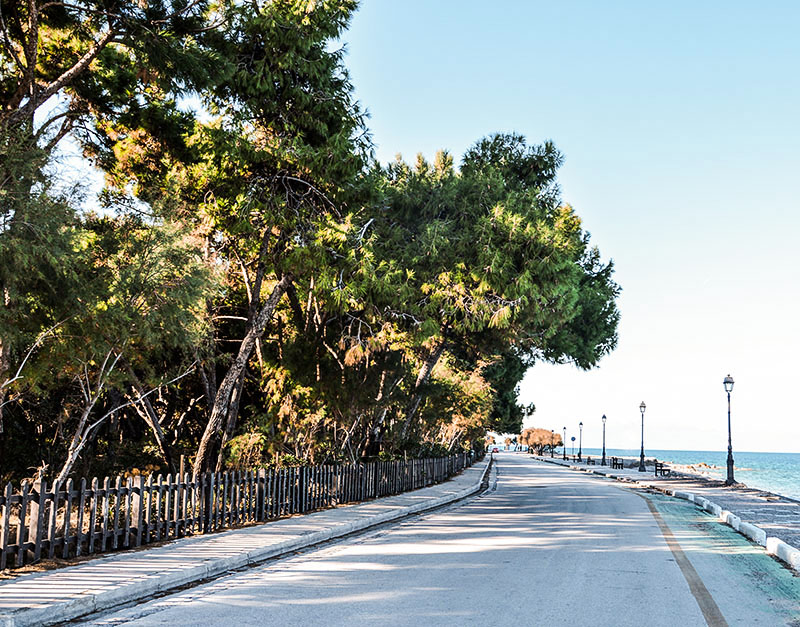 Θέα της θάλασσας μέσα από το δάσος του Πευκιά στο Ξυλόκαστρο